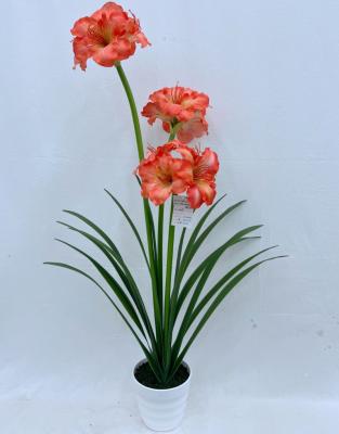 China Decorations.Gifts.For Home Table Indoor Decoration Clivia Minata Flower Artificial Artificial Flowers For Home Decor for sale