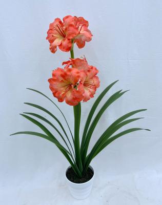 China Decorations.Gifts.For Home Table Indoor Decoration Clivia Minata Flower Artificial Artificial Flowers For Home Decor for sale