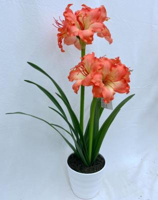 China Decorations.Gifts.For Home Table Indoor Decoration Clivia Minata Flower Artificial Artificial Flowers For Home Decor for sale