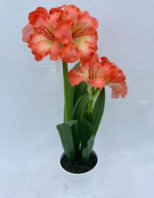 China Decorations.Gifts.For Home Table Indoor Decoration Clivia Minata Flower Artificial Artificial Flowers For Home Decor for sale