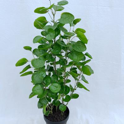 China Wholesale Decorations.Gifts.For Indoor Home Table Decoration Cheap Modern PVC Wind Regenerating Artificial Simulation Green Plants Pocket Pot With Home Decor for sale