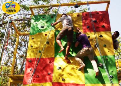 China Commercial Childrens Rock Climbing Wall , Fiberglass Kids Indoor Climbing Wall for sale