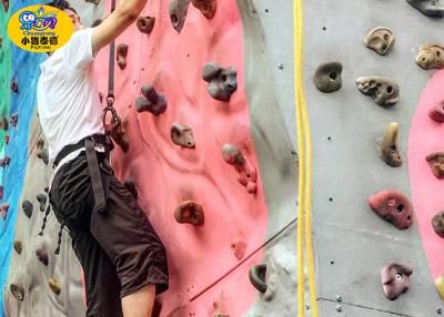 China Pared de la escalada de los niños coloridos para la alta fuerza física del patio interior en venta