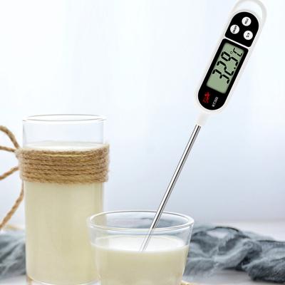 China Eco-Friendly Kitchen Portable Cooking Digital Thermometer Easy Carry BBQ Food Thermometer for sale