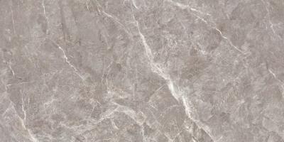 China 1800X900Mm Size Glazed Porcelain Tile / Heat Insulation Interior Floor Tile for sale