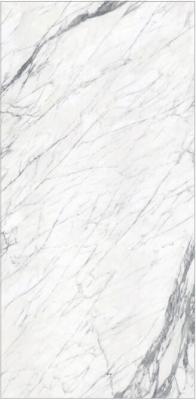 Chine Grand de taille de Carrare 1200x2400mm carrelages de porcelaine de salon de carrelages de mur et de la porcelaine à vendre