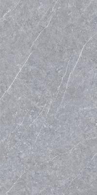 Cina Piastrella per pavimento ceramica 120x240cm grigio chiaro della cucina di alta lucentezza in vendita