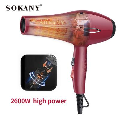 China Other E-commerce Hair Dryer Household Hair Dryer Barber Shop High Power Hair Dryer Sokany2215 for sale