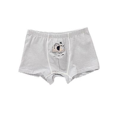 China Color Fade Proof 2021 Hot Selling Beautiful Soft Panties For Boys With Cute Patterns for sale