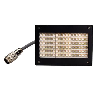 Cina Alto potere UV della luce del LED che cura lampada con 92 365nm portatili e durevoli del LED in vendita