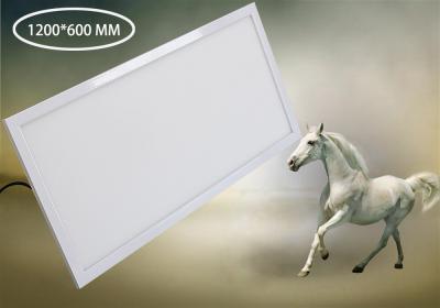 China 60w 600X1200MM LED Panel Light Aluminum Alloy Lamp Body+PMMA Cover CE ROHS SAA FCC for sale