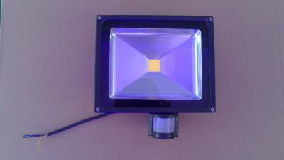 China High Quality PIR Sensor LED Floodlight Aluminum alloy+Tempered Glass 2700-6500K Color Temp for sale