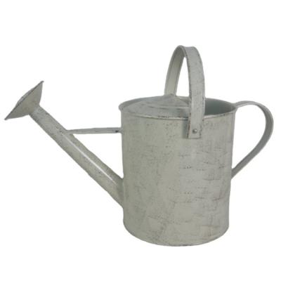 China New Product Cheap Price Silver Popular Contemporary Modern 1.8 Gallon Metal Zin Watering Can For Plant Home Watering for sale