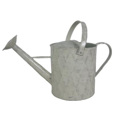 China High Quality Easy Customization Eco-Friendly 2.3 Gallons See Watering Can Plant For Outdoor Indoor Plants for sale