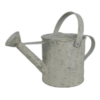 China Best Simply Simple Style Making 0.7 Gallon Mini Traditional Metal Watering Can For Indoor Outdoor Garden Plant for sale