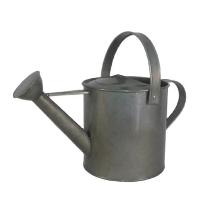 China Simply Competitive Price Unique Economic 2.7L All-season Galvanized Watering Can For House Plant Garden Flowers for sale