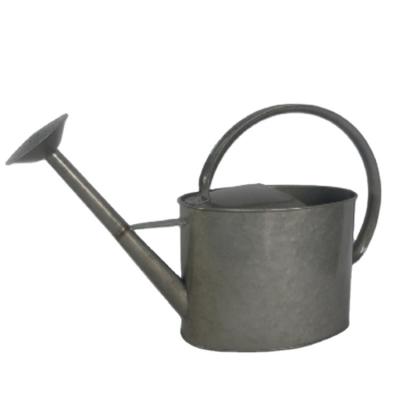 China Outdoor Garden All-Season Competitive Price Farm Tin Watering Can For House Economical Plant Garden Watering Galvanized Flowers for sale