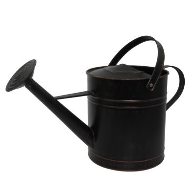 China China Promotional Single Factory Price Big Black Custom Watering Can Large For Indoor Plant Quick And Easy Watering for sale