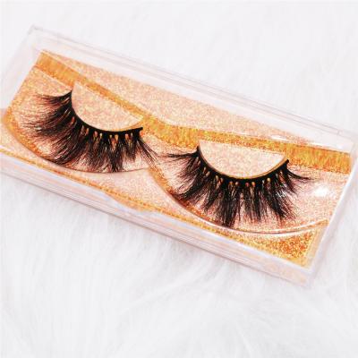 China New 2020 100% Real Collection 3D 5D 6D Mink Eyelashes Super Fluffy Mink Eyelashes 6D81 Free Mink Eyelashes for sale