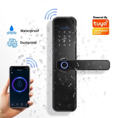 China Home Security WIFI APP Digital Fingerprint Smart Office Apartments Hotel Door Lock Keyless for sale