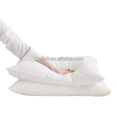 China China Anti-Static Natural Silk Pillow, White Pure Mulberry Silk Cover 100% Soft And Comfortable Cotton Pillow for sale