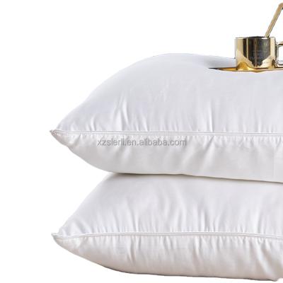 China Anti-Static Chinese Natural Silk Pillow, Pure Cotton Cover 100% Organic White Mulberry Silk Pillow for sale