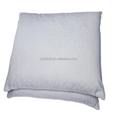 China China Anti-Static Natural Silk Pillow, Jacquard Pure White 100% Cotton Cover Mulberry Silk Soft Pillow for sale