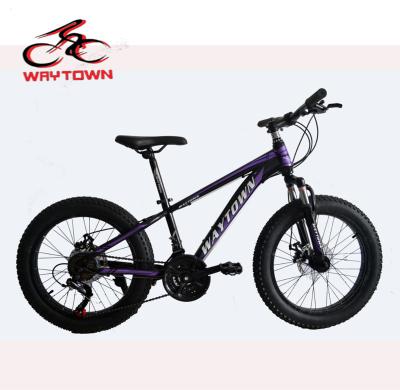 China Wholesale Steel Customize 20 Inch Fat Tire KIDS Mountain Bike , 4.0 Snow Fat Tire for sale