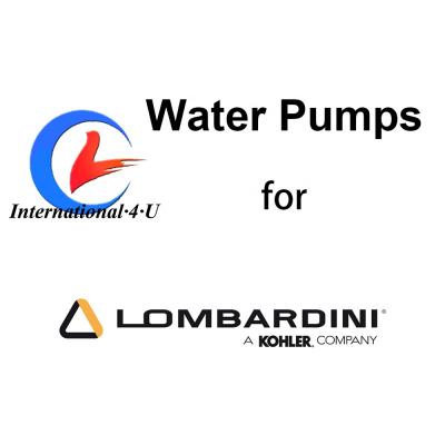 China For Lombardini LDW 502 Water Pump For Lombardini LDW 502 Engine Microcar Ligier Aixam 6584438 / ED0065844380-S for sale