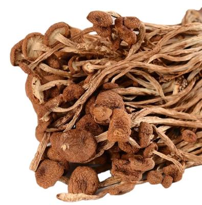 China Agrocybe Aegerila Dried Dry Mushroom Farmmi Dried Tea Tree Mushroom Forasen for sale