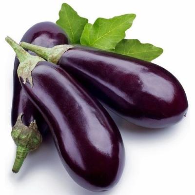 China No.1 fresh high quality hybrid purple eggplant export-oriented small packing F1 fresh vegetable for sale