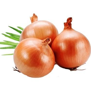 China FRESH VEGETABLE RED ONION TURKISH ONION YELLOW fresh ONION for sale