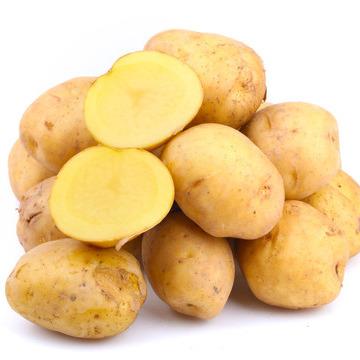 China High quality pure natural organic fresh juicy sweet potato for sale