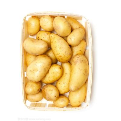 China Wholesale Fresh Potato Sweet Potato Fresh Potato for sale