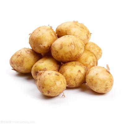 China Wholesale Fresh Potato China Vegetable Export for sale