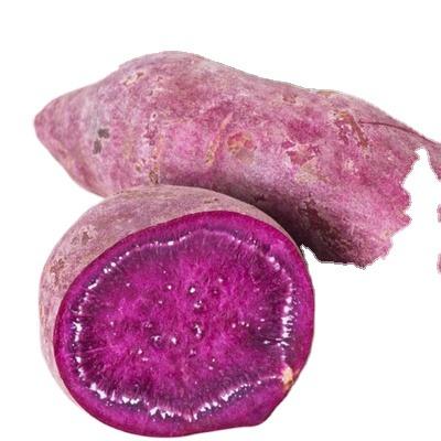 China fresh PURPLE SWEET POTATO for sale