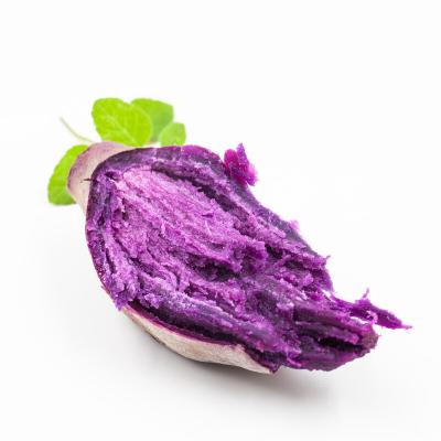 China Fresh Fresh Organic Sweet Purple Potatoes for sale