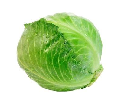 China Common Cabbage No Natural Additives 100% Healthy Fresh for sale