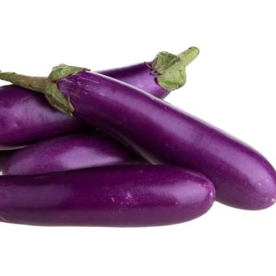 China Bulk Fresh Hot Summer Vegetable Fresh Eggplant For Sale for sale