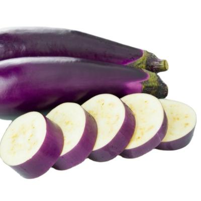 China Small packaging fresh high quality export purple eggplant for sale