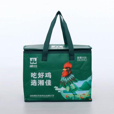 China New Designer Trendy 2mm~4mm Epe Film Insulation Bag Waterproof Aluminum Nonwoven Cooler Bag for sale