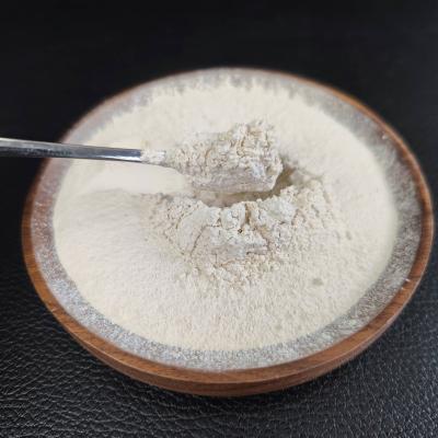 China Anti Aging Ect Rice Protein Peptide For Health Supplement for sale