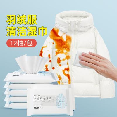 China ANTISEPTIC Daily Disposable 12 Pcs Down Coat Clean Damp Cloth for sale