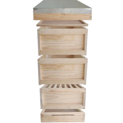 China Farms Factory OEM Red Pine Cedar Wood 8/10 British Frame Beehive UK National Hive With Metal Roof for sale