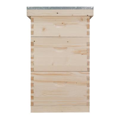 China Langstroth Beehive Frames Beehive 10 Fir China Three Layer Beekeeping Equipment for sale