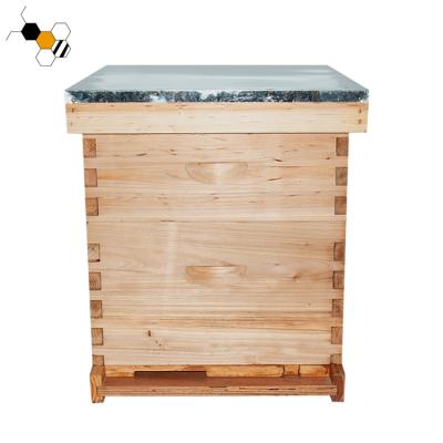 China Wooden Farms Langstroth Beehive 10 Frame Langstroth Beehive for sale