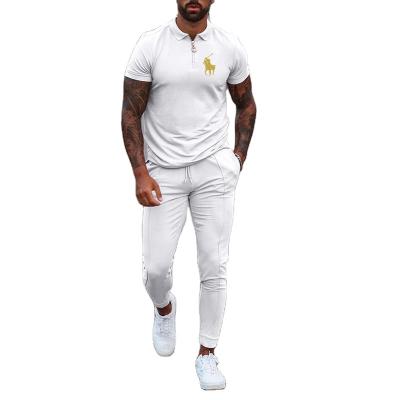 China Anti-Wrinkle Oversized Mens Summer Solid Color Lapel Or Round Neck Custom T-Shirt Sports Business Men Shirt for sale