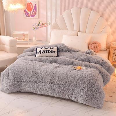 China Home Textile Duvet Quilt Plush Mink Velvet Thickened Warm Lamb Fleece Quilt for Winter for sale