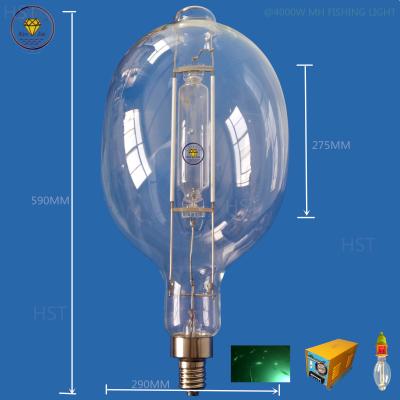 China BT200 Fish Metal Halide Super Light Green Warm White Attracting Light For Fishing 1000W 1500W 2000W 3000W Tubular for sale