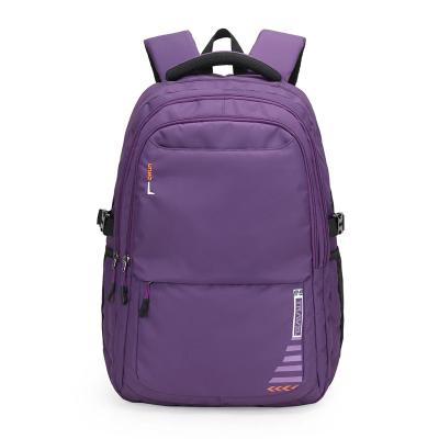 China Custom Logo Lightweight Large Capacity Waterproof Laptop Backpack Leisure Travel Backpack Support Waterproof OEM ODM ODM for sale